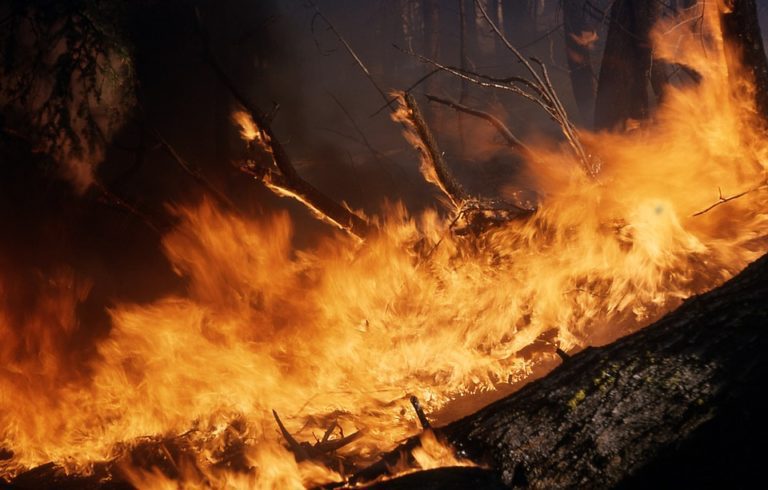 wildfire