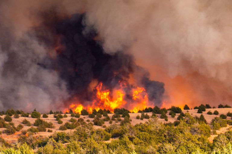 Grass fire