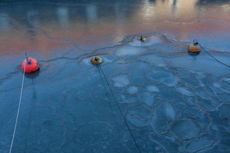 oil spill