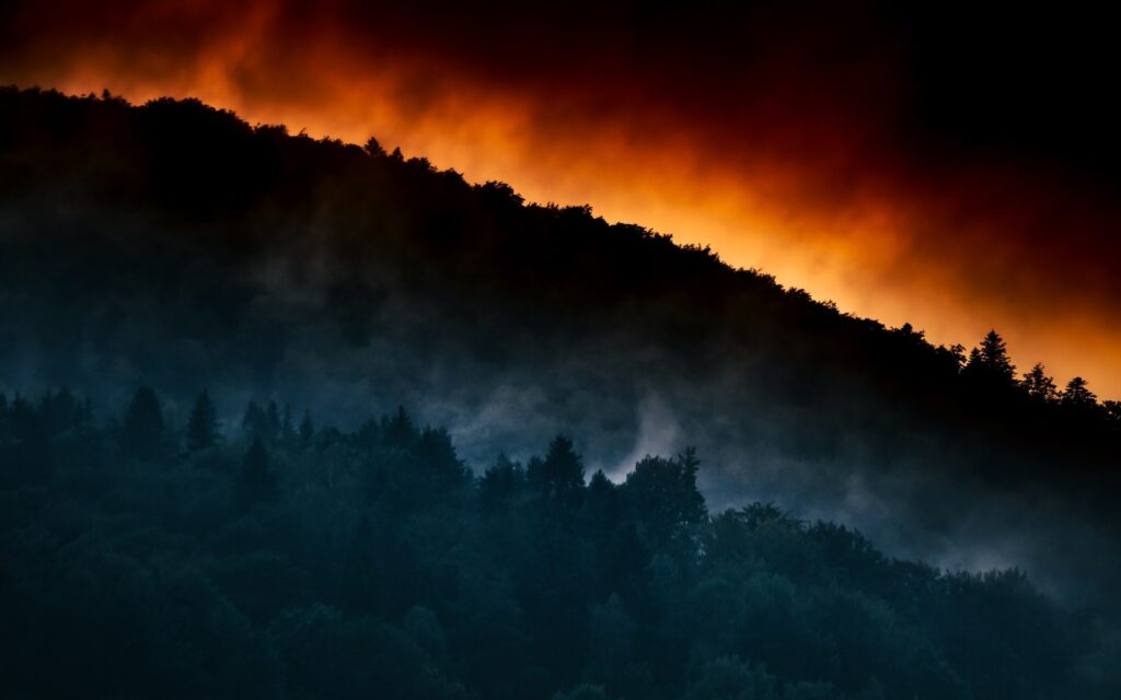 forest fire