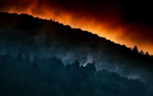 forest fire