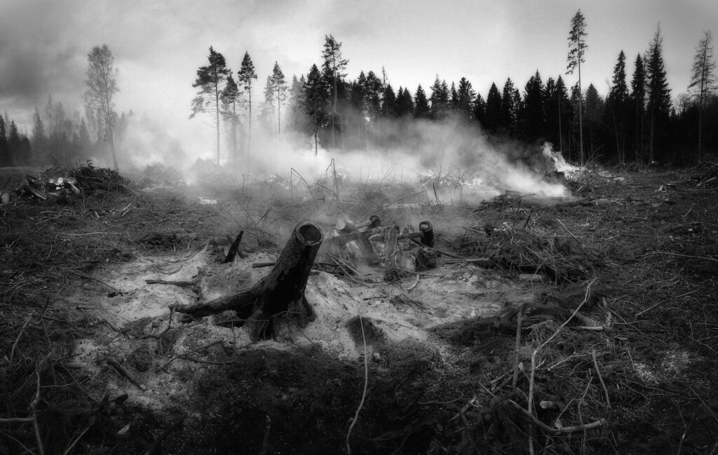 ILUS Wildfires
