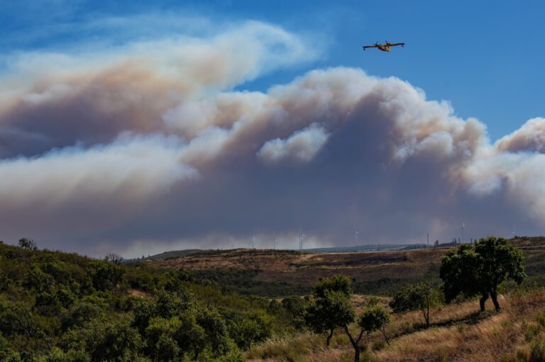 Aerial Firefighting