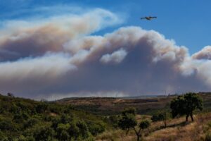 Aerial Firefighting