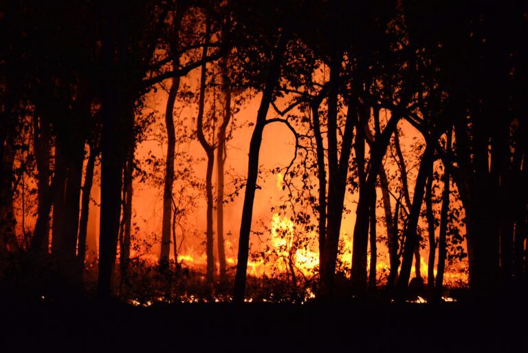 Wildfires