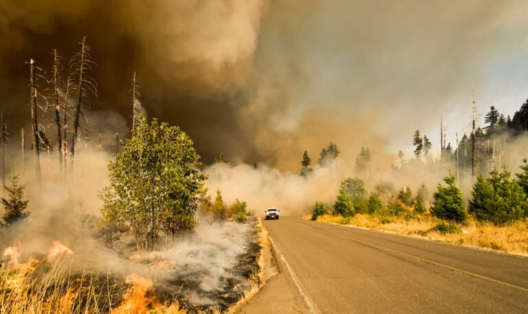 FPRF to host wildfire health risks webinar