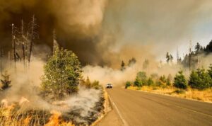 FPRF to host wildfire health risks webinar