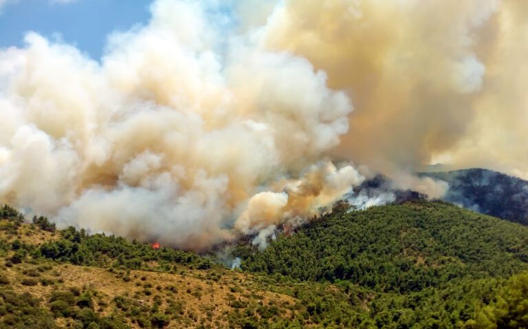 Greece wildfire