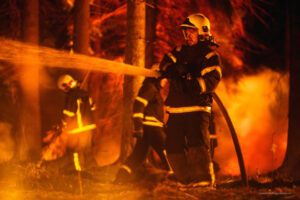 Picture of forest fires - Photo by ECA - Fire Buyer