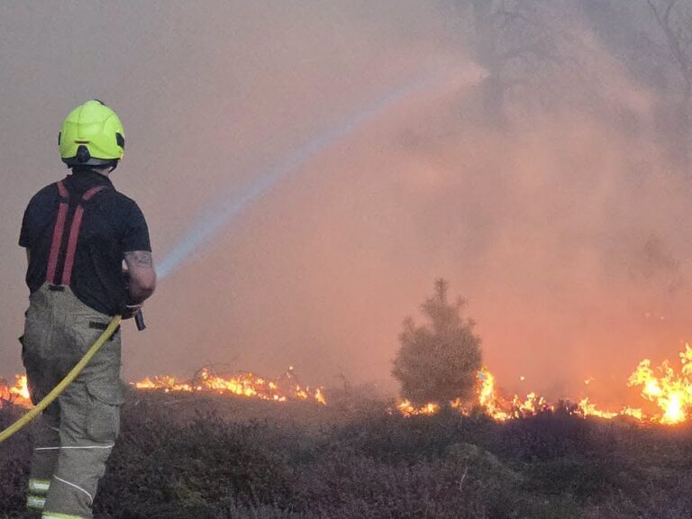 Over 100 firefighters tackle coastal blaze. firebuyer.com