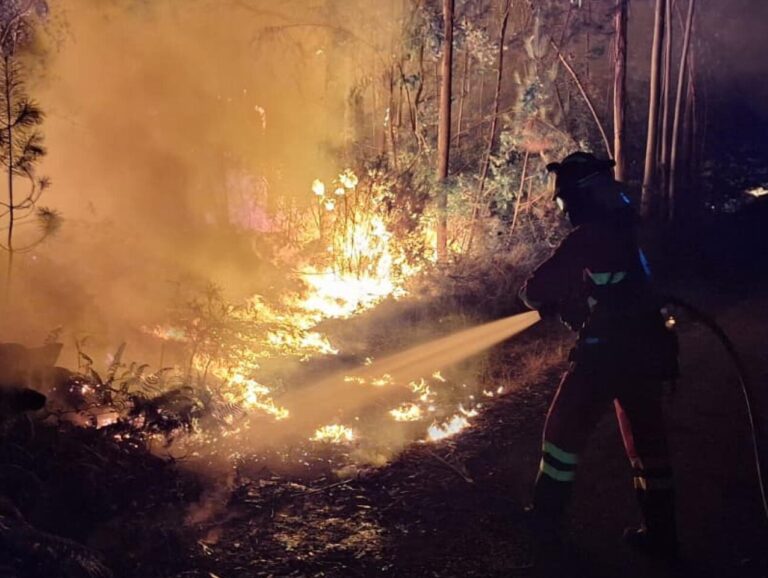 EU mobilises firefighting aircraft as wildfires hit France and Portugal. firebuyer.com