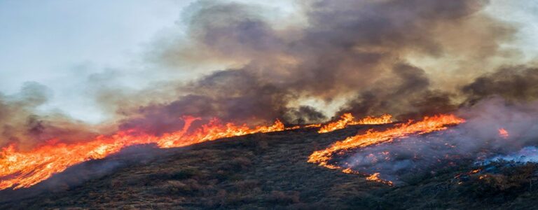 NFCC urges vigilance as UK wildfires continue. firebuyer.com