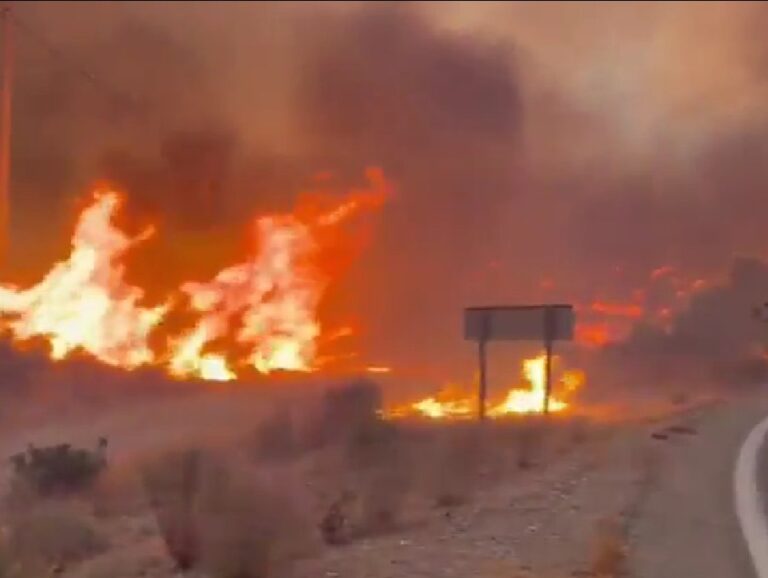 Spanish wildfire kills 11. firebuyer.com