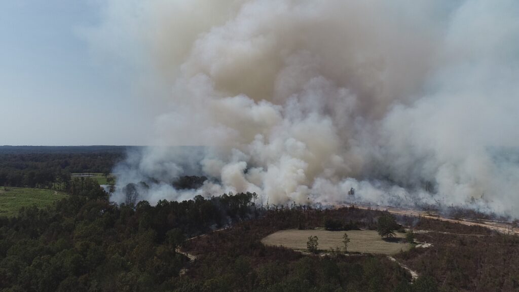 Alabama deploys satellite technology for wildfire monitoring. firebuyer.com