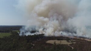 Alabama deploys satellite technology for wildfire monitoring. firebuyer.com