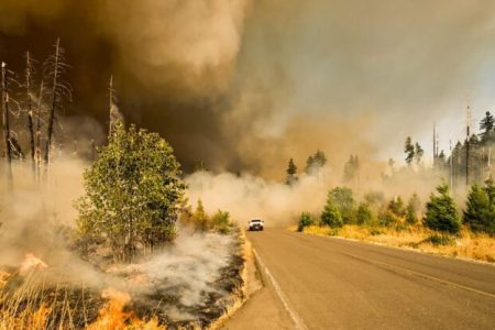 FPRF to host wildfire health risks webinar